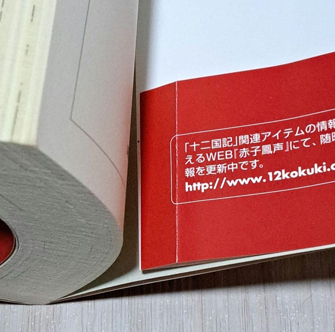 十二国記 1~11巻 ＋ 丕緒の鳥 白銀の墟玄の月 1~4巻 + アニメ脚本集