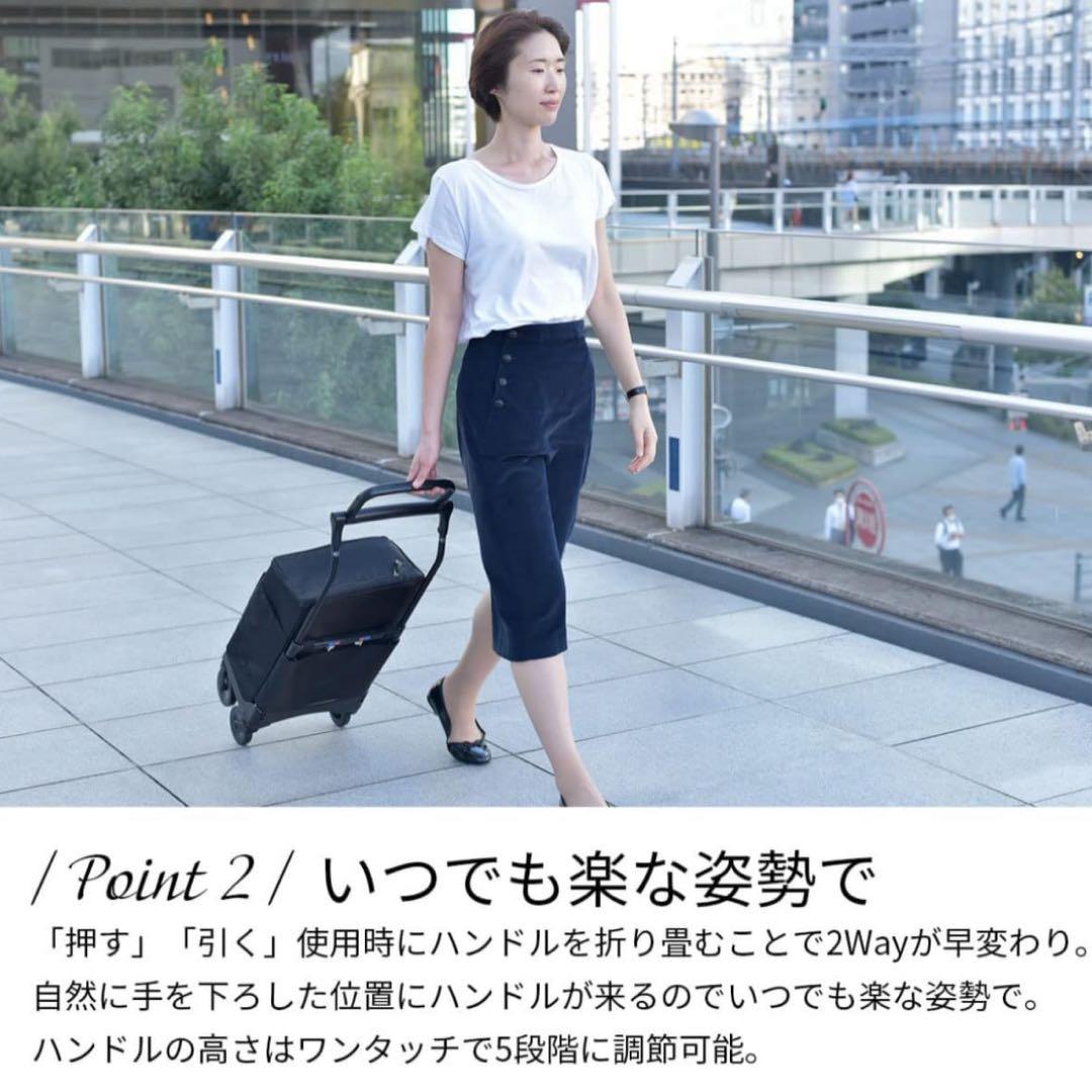 GRAN MARIE 保冷温ショッピングカート　グランマリー　買い物GM-125