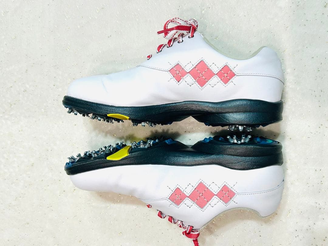 FOOTJOY ゴルフシューズ シューズケース付き
