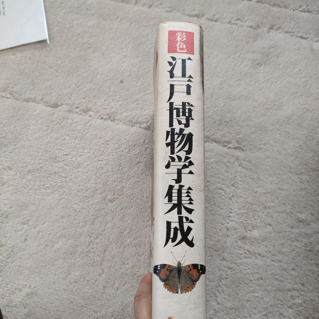 彩色 江戸博物学集成 平凡社