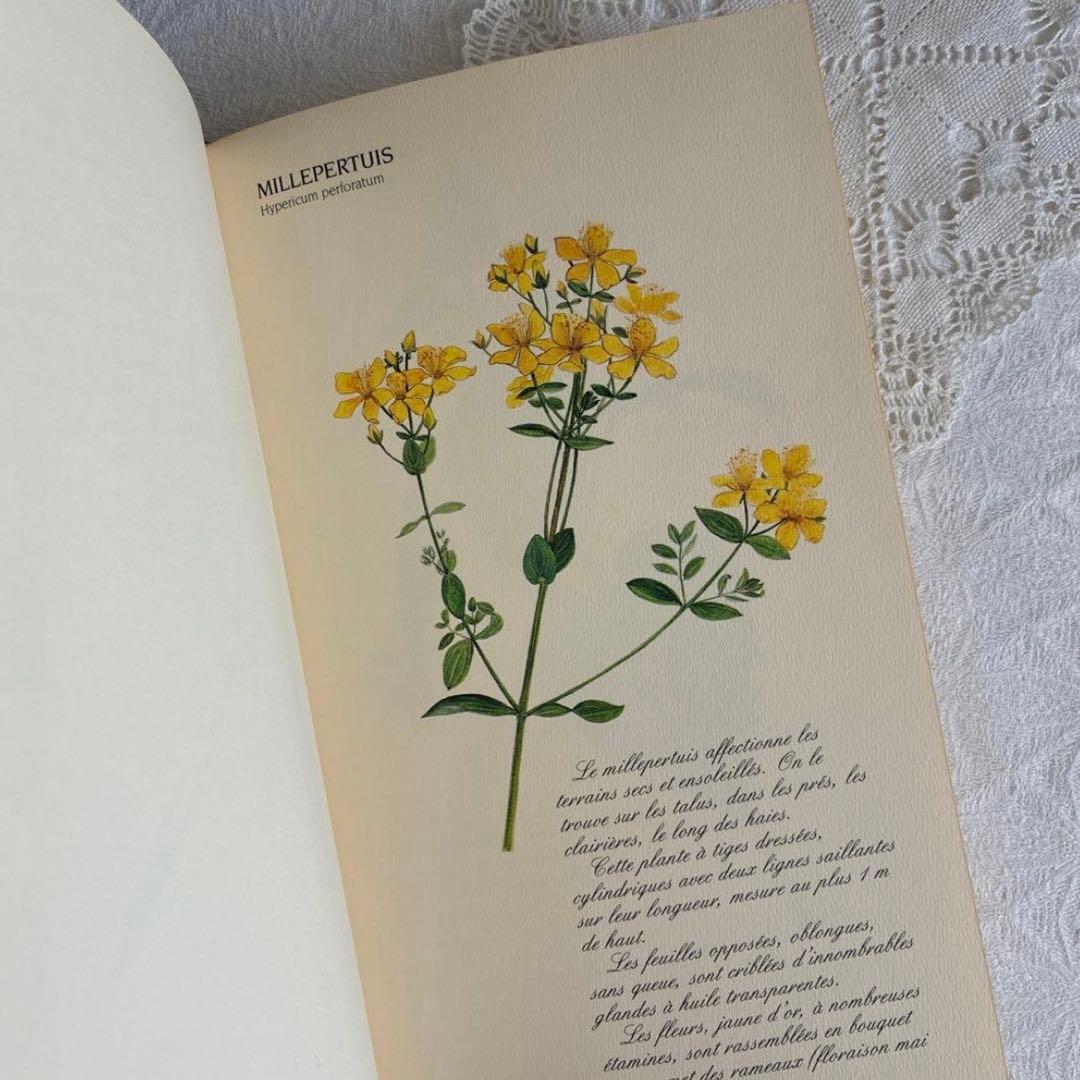 【希少・美品】1990年 美しいフランス植物図鑑　ナタン社　NATHAN