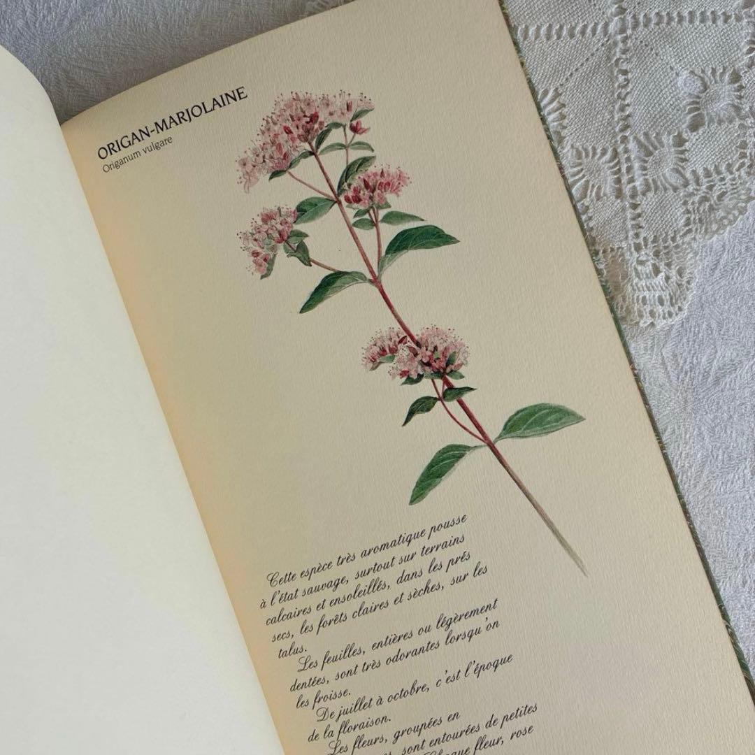 【希少・美品】1990年 美しいフランス植物図鑑　ナタン社　NATHAN