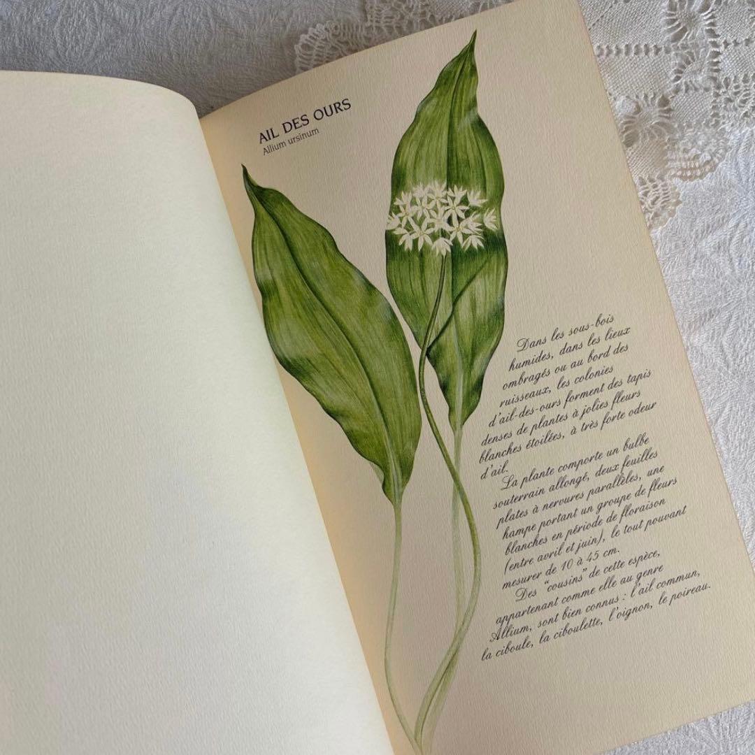 【希少・美品】1990年 美しいフランス植物図鑑　ナタン社　NATHAN