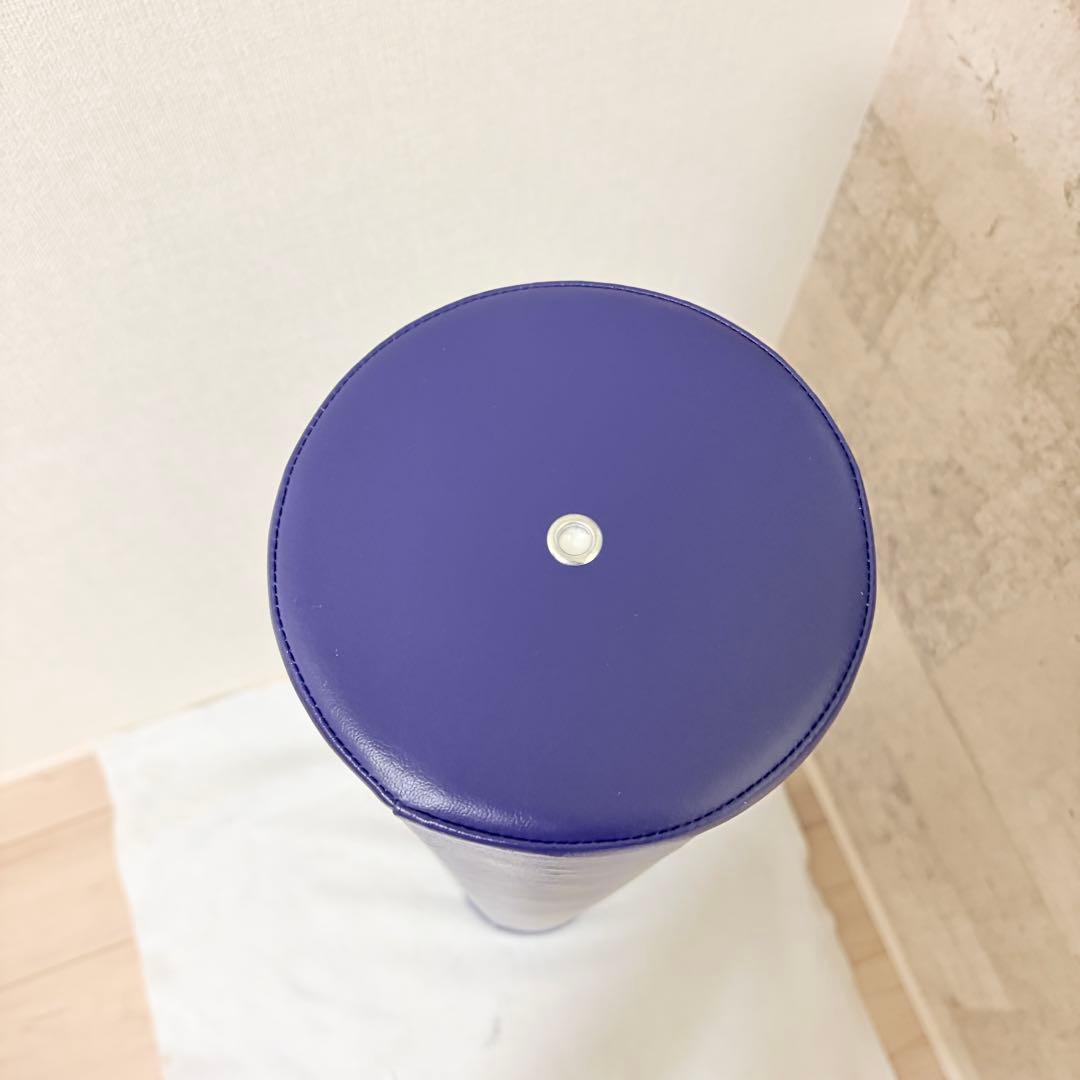 LPN社製 Stretch Pole ストレッチポールEX 正規品
