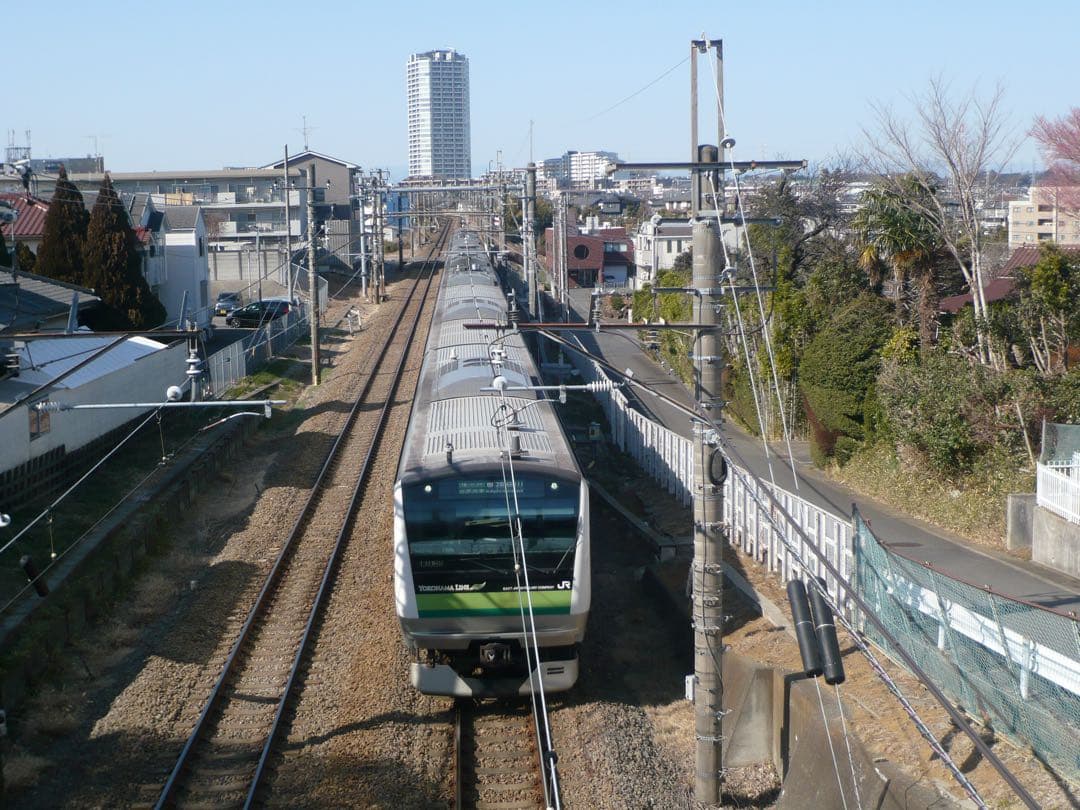 らみ