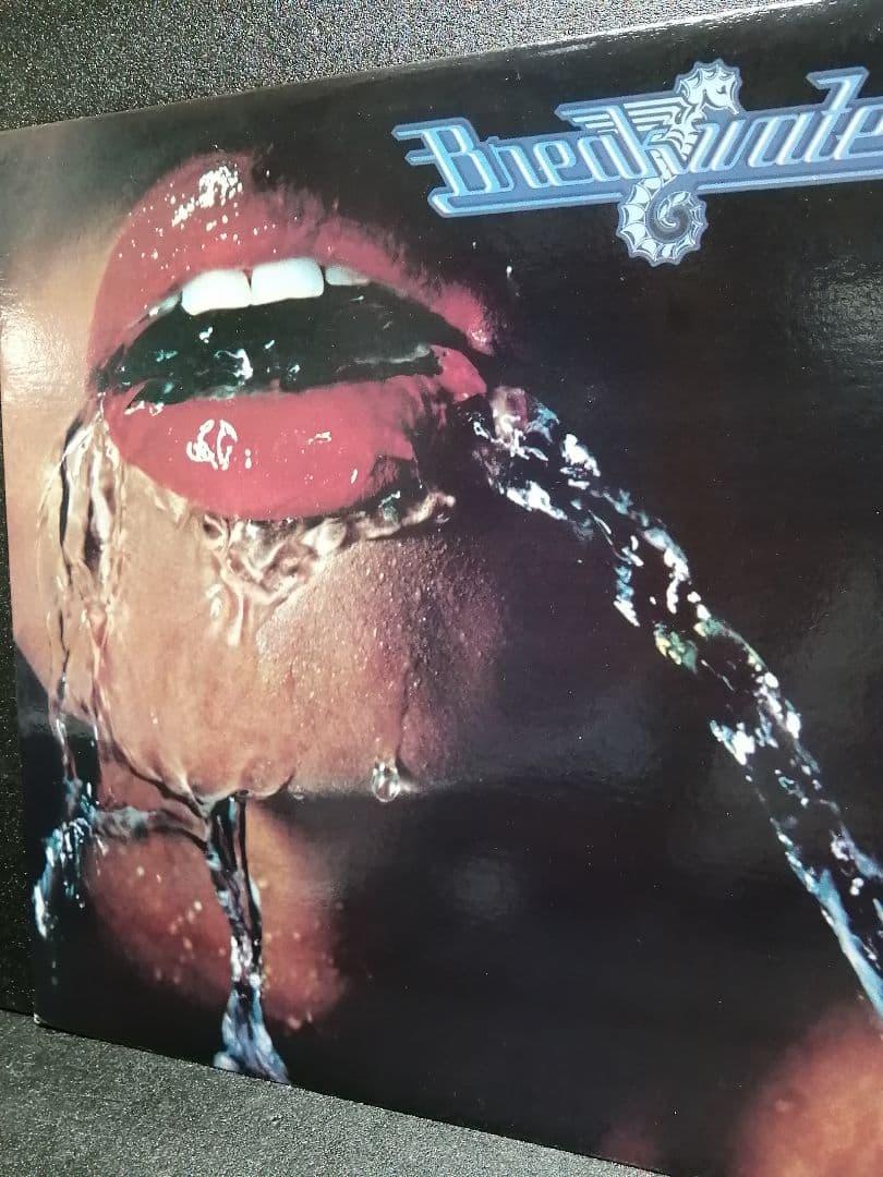 【Free Soul 名盤】 BREAKWATER No Limit 収録