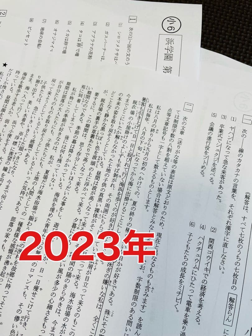 公開学力テスト 2023年、2024年度 浜学園 小6 2年分 4科目