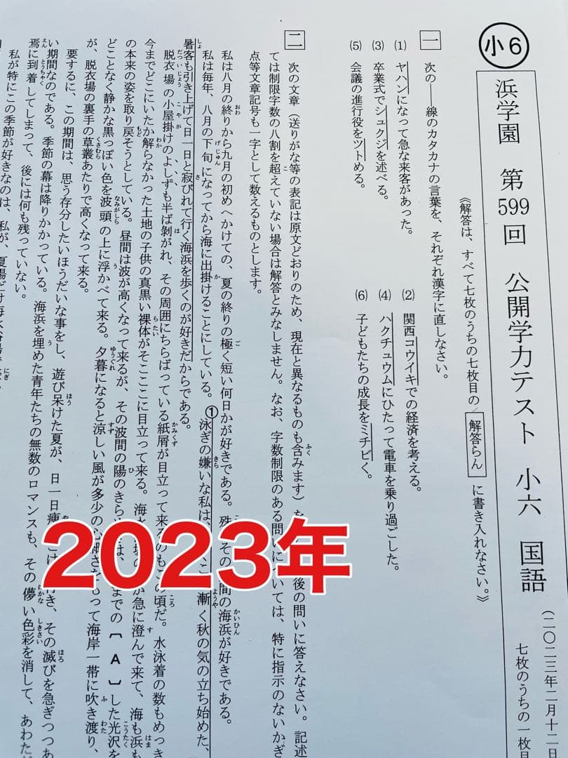 公開学力テスト 2023年、2024年度 浜学園 小6 2年分 4科目