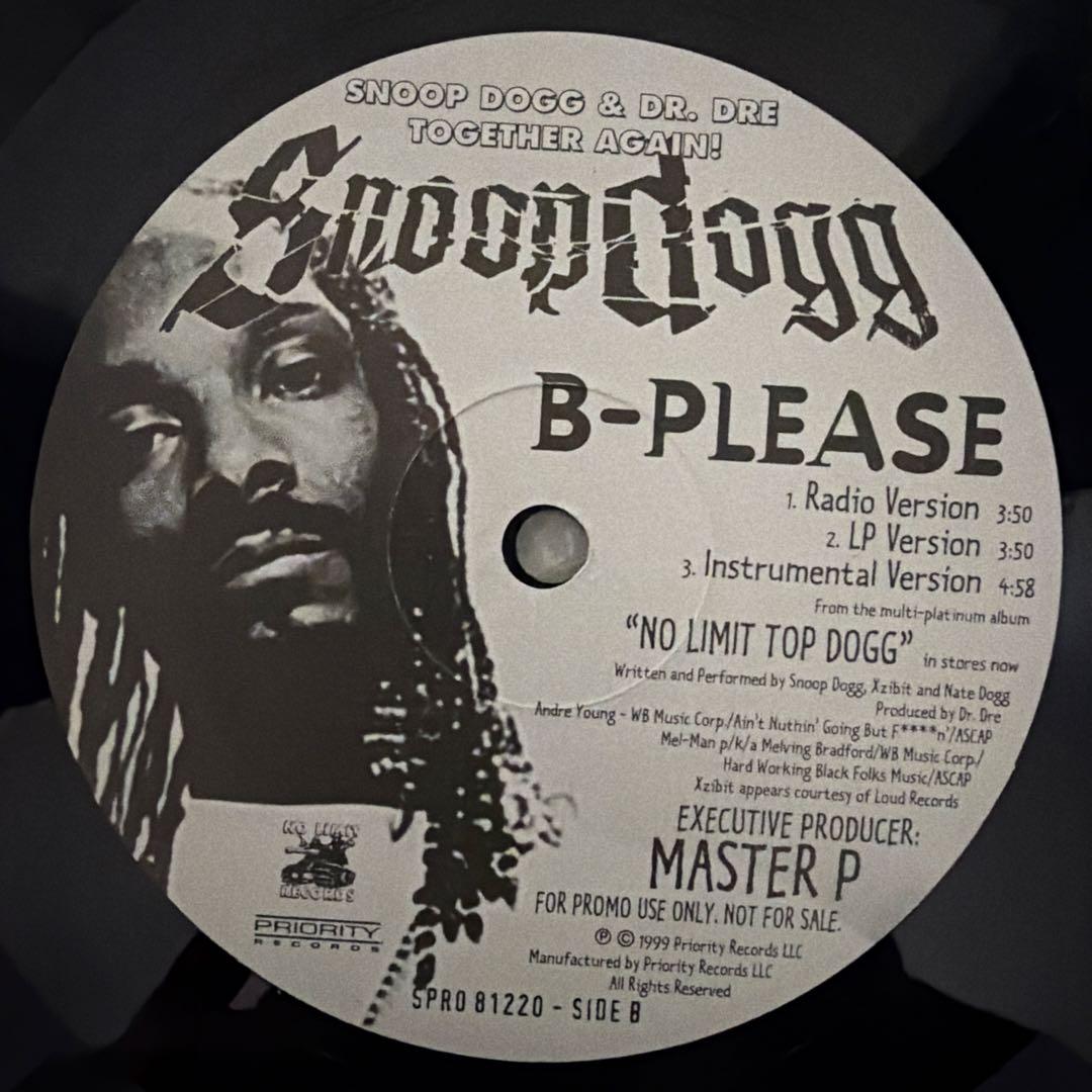 Snoop Dogg レコード6枚セットB-Please 他