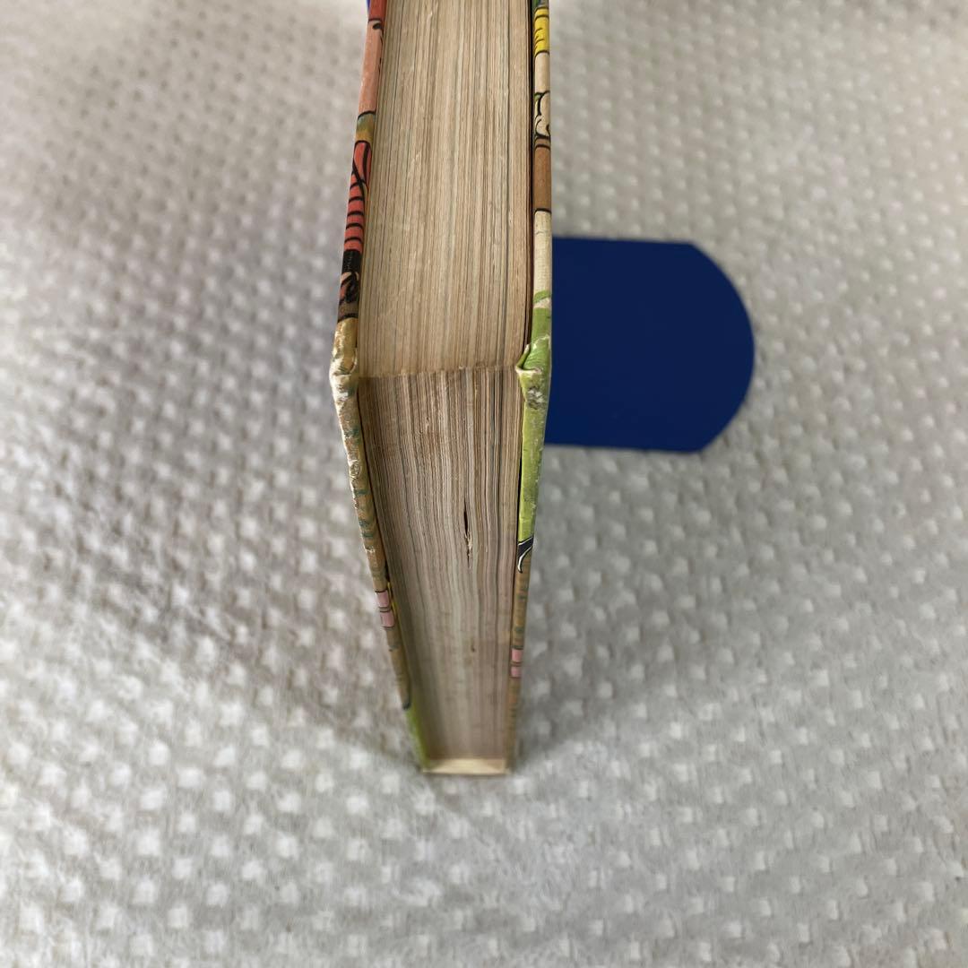 The Charlie Brown Dictionary スヌーピー 英語辞書