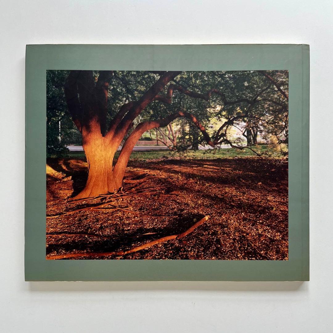 Joel Sternfeld ジョエル・スタンフェルド 写真集 TATORTE