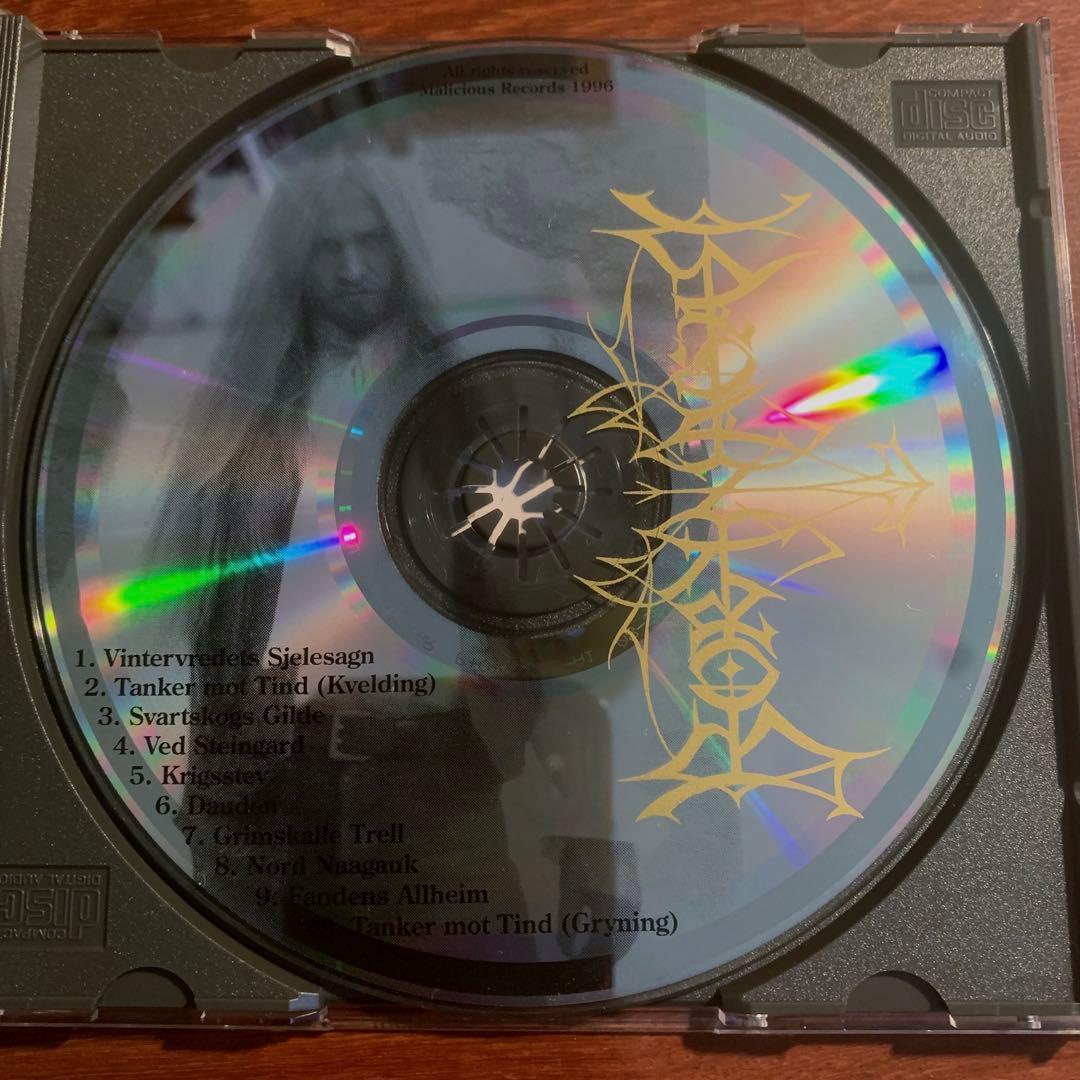洋楽 BORKNAGAR - Borknagar