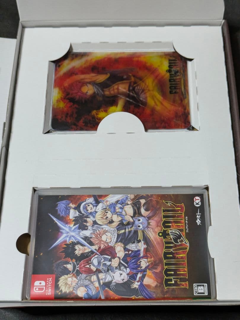 Switch FAIRY TAIL フェアリーテイル GUILD BOX
