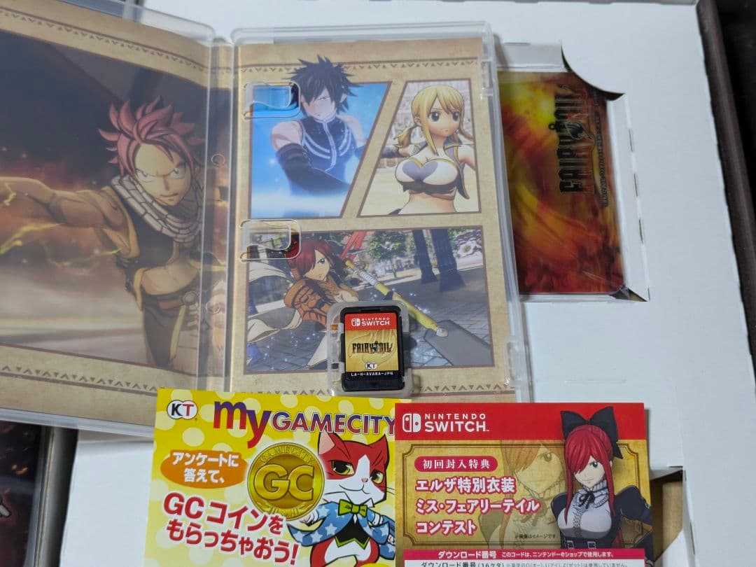 Switch FAIRY TAIL フェアリーテイル GUILD BOX