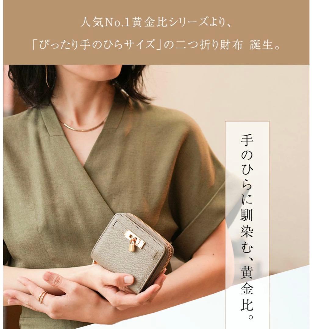 ❤️お値下げ❤️極美品✨ 傳濱野 人気 No.1 黄金比シリーズミーティアウォレット