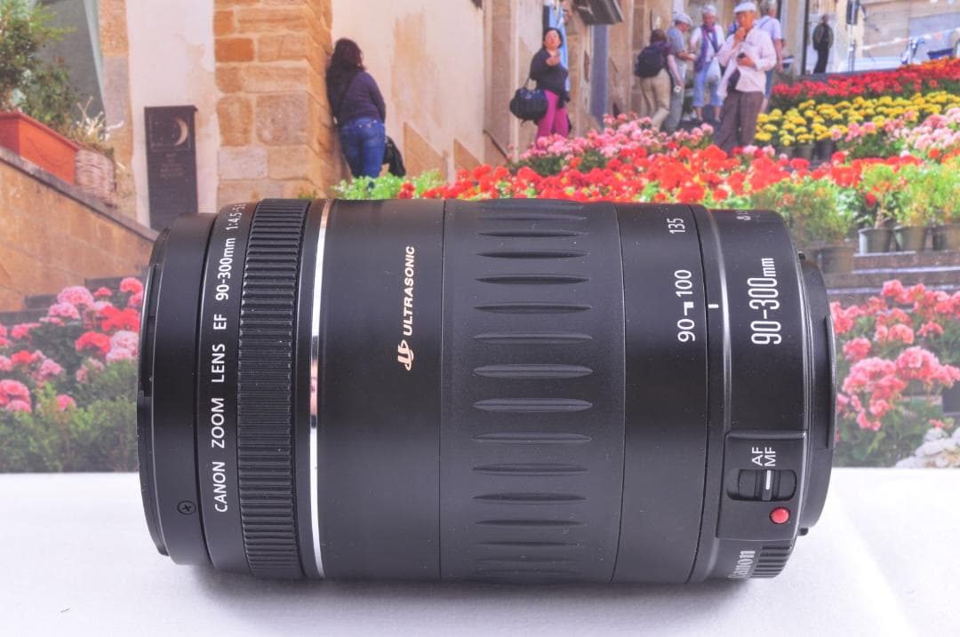 Canon EF 90-300mm USM 望遠ズーム 整備済 フード付キヤノン