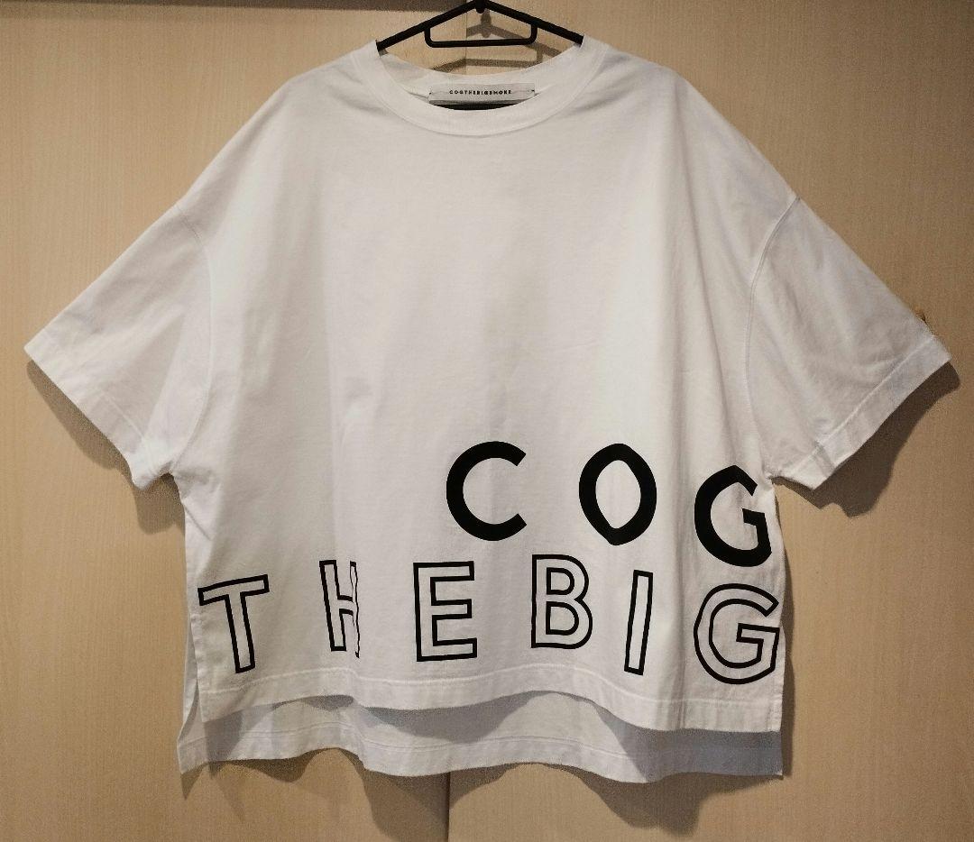 コグザビッグスモーク DELTA T-SHIRT Tシャツ ホワイト
