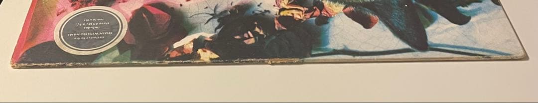 Pale Saints / 1st LP UK オリジナル盤