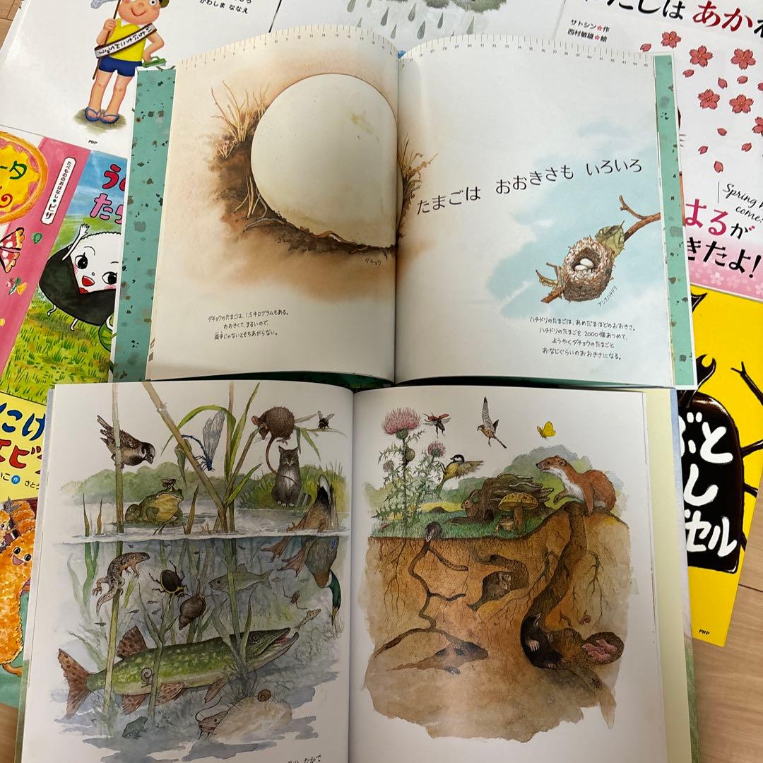 絵本　まとめ売り　ねこのすしやさん　他30冊