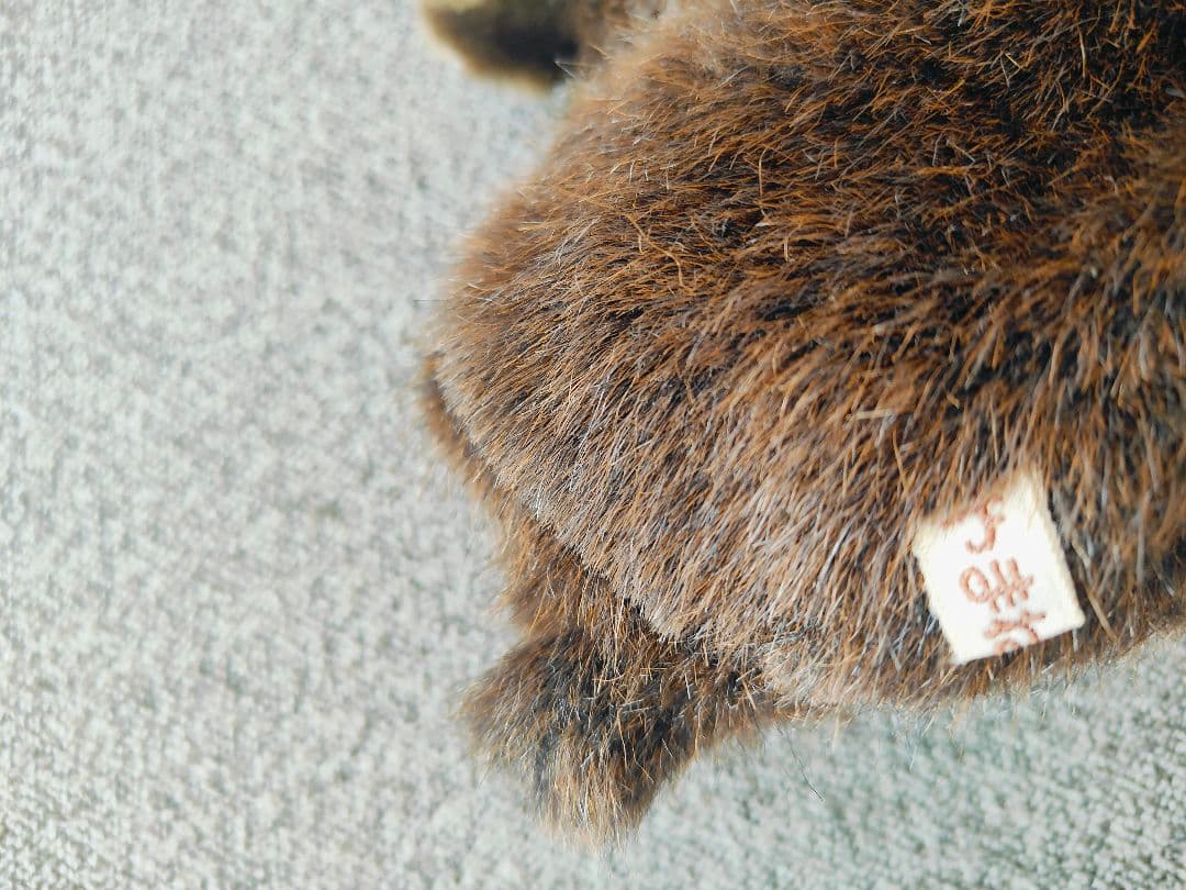 やまね工房　アマミノクロウサギ　ぴょん太　ぬいぐるみ　ウサギ
