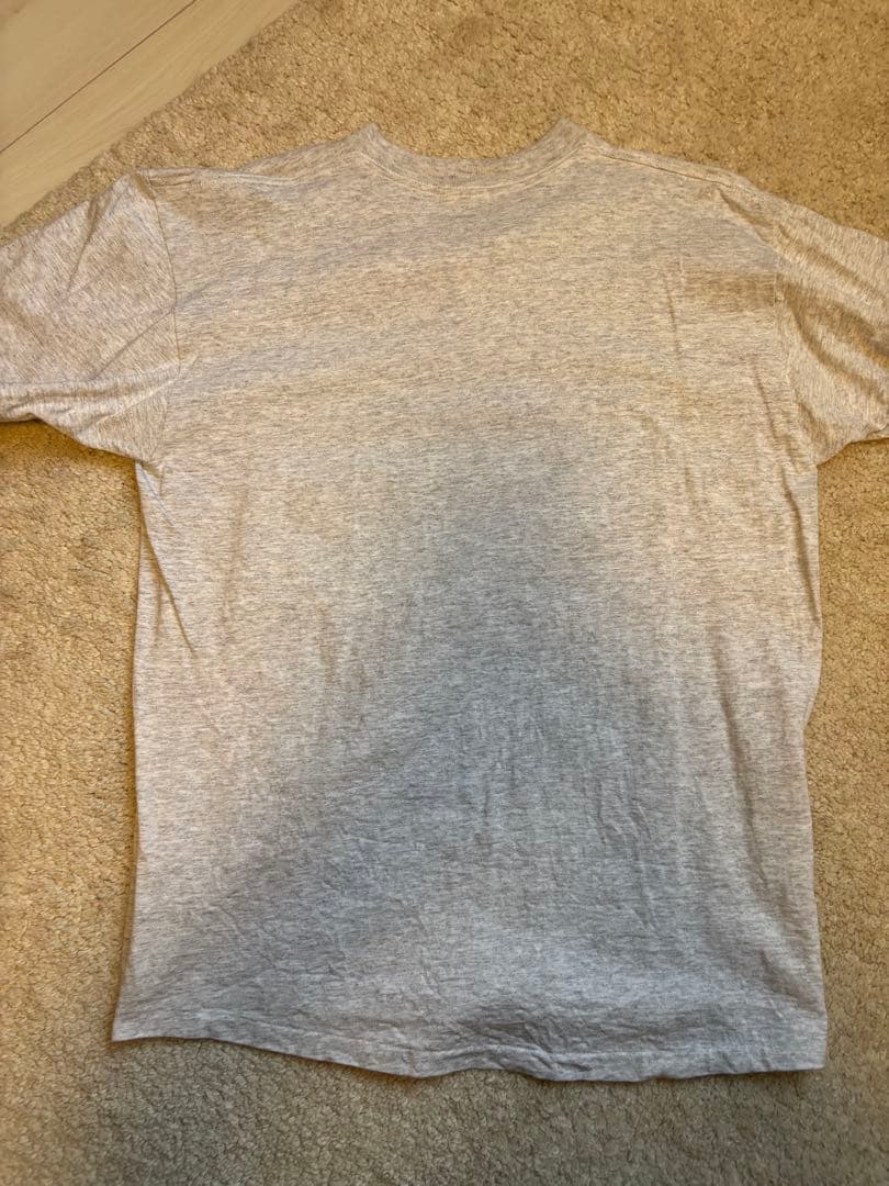 SANTA CRUZ Tシャツ Lサイズ グレー