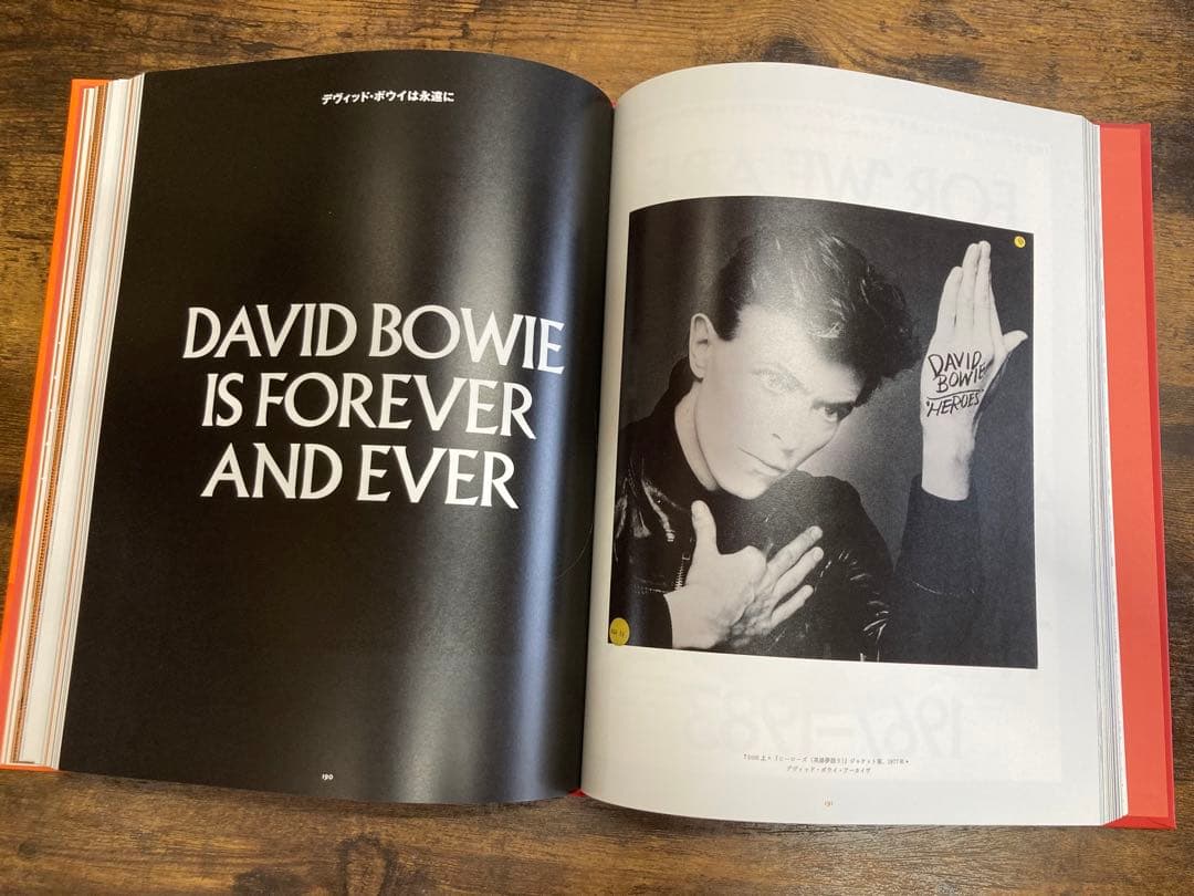 DAVID BOWIE IS INSIDE デヴィッドボウイ　写真集　展覧会図録