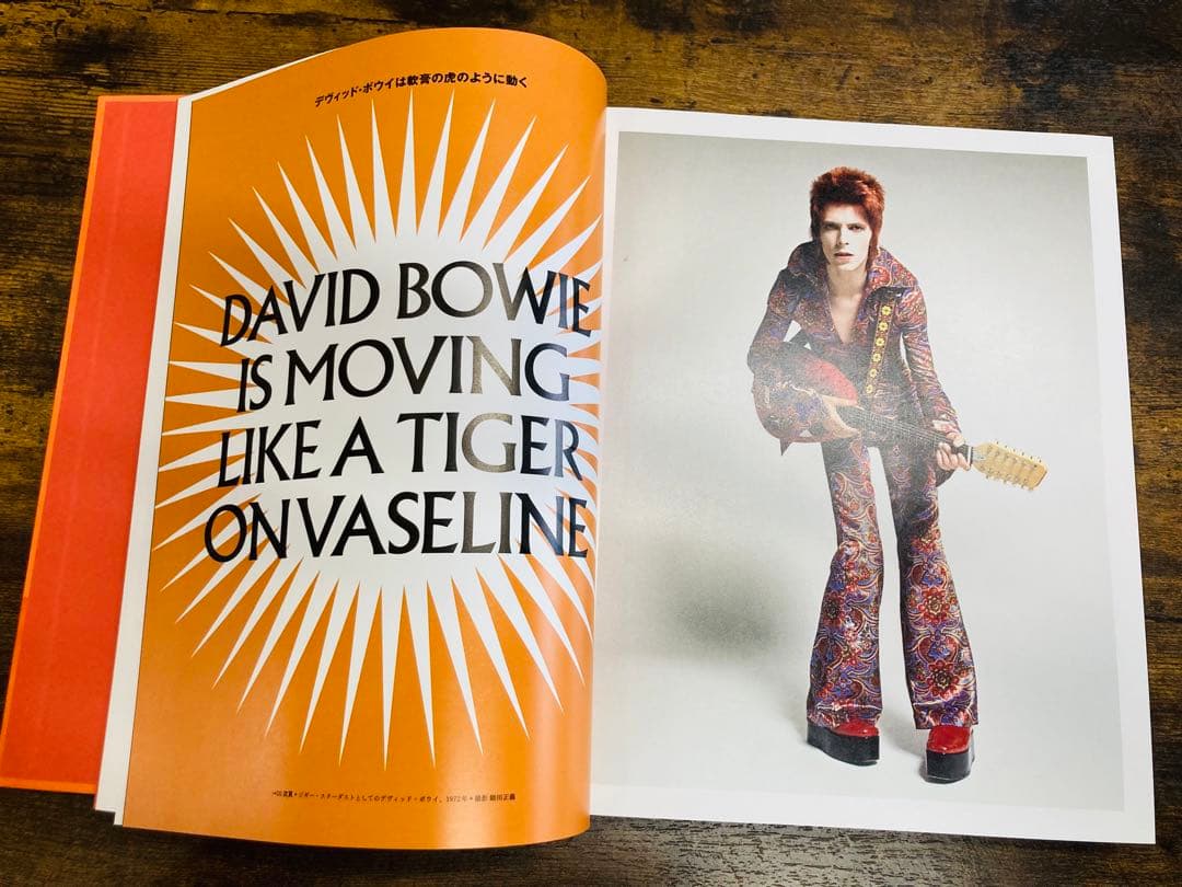 DAVID BOWIE IS INSIDE デヴィッドボウイ　写真集　展覧会図録
