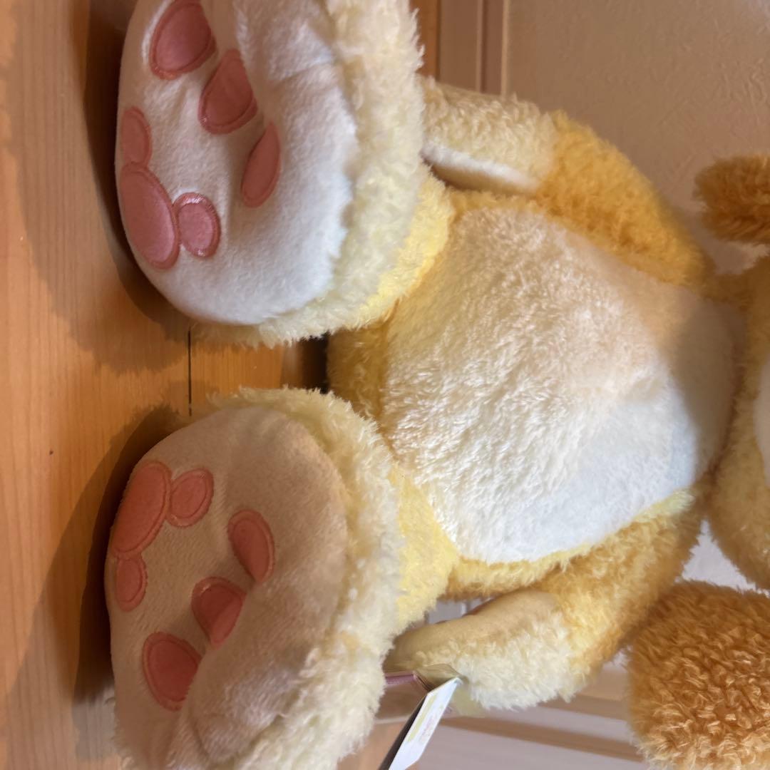 美品✨上海ディズニー　クッキーアンmサイズぬいぐるみ　BIG タグ付き❗️