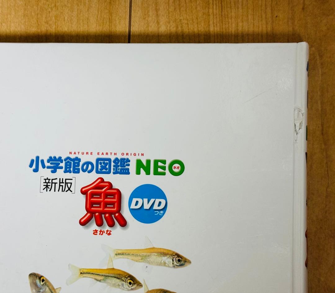 小学館の図鑑NEOシリーズ6冊、小学館の図鑑NEOプラスくらべる図鑑、他2冊