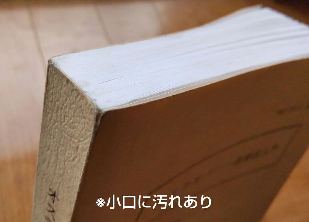 オステオパシー直接法入門 第2巻（京都オステオパシー研究会）