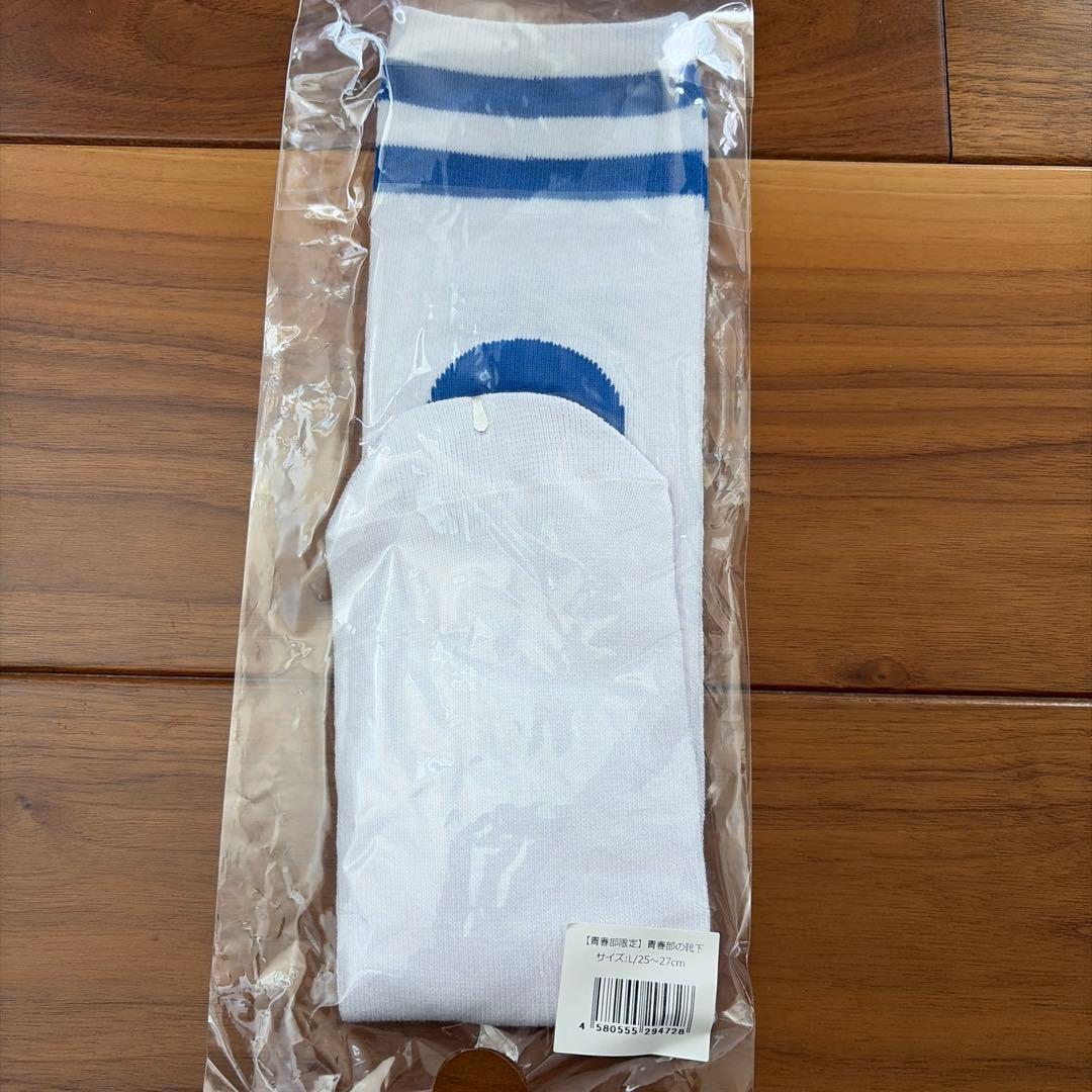 ミュージシャン ATARASHII GAKKO! socks x4