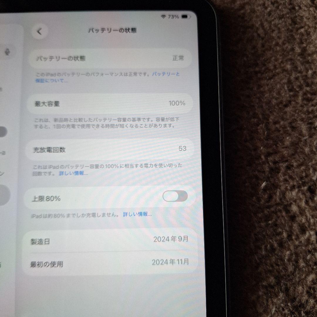 iPad mini (A17 Pro)第７世代　512GB wifiモデル