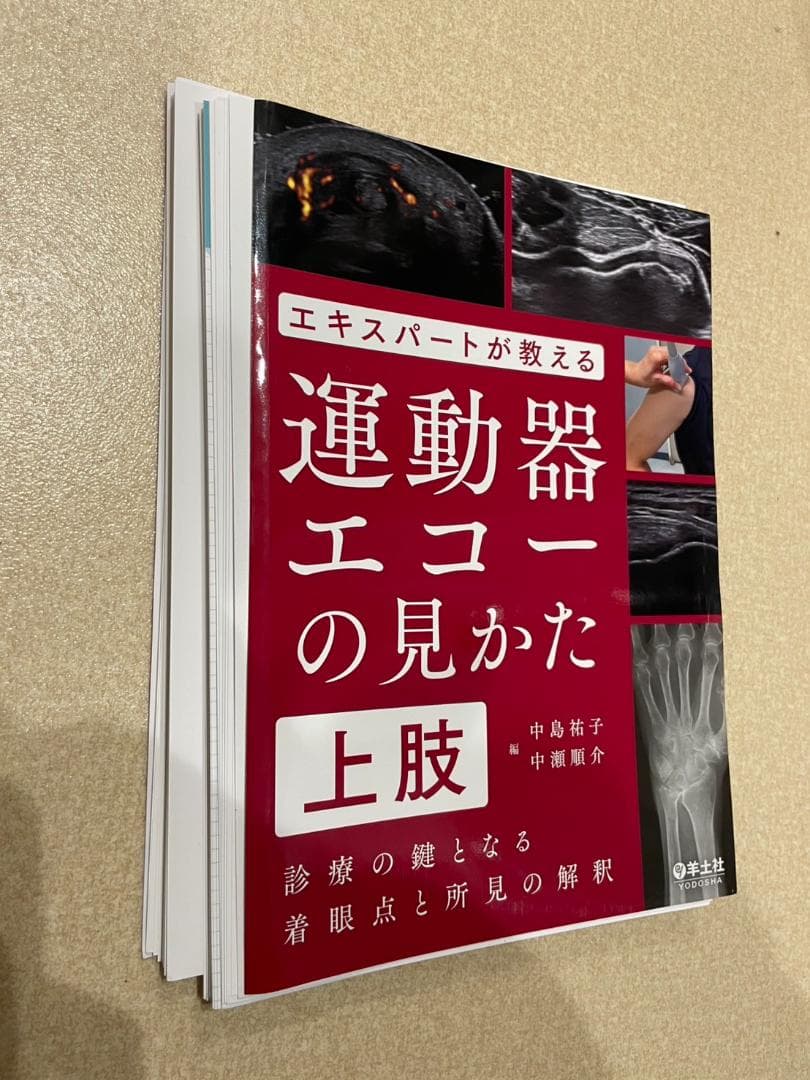 【裁断済み】エキスパートが教える運動器エコーの見かた 上肢・下肢