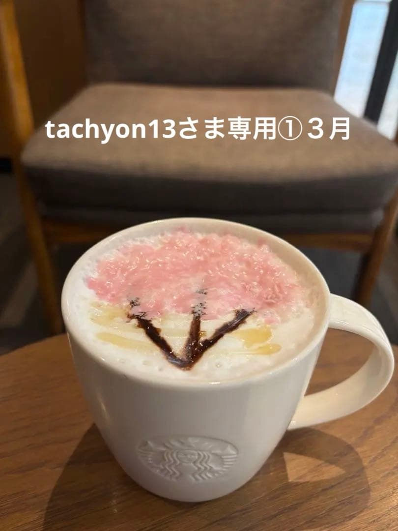 tachyon13さま専用①