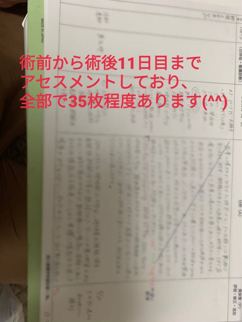 看護過程 4点セット　母性　老年　慢性終末期　急性期　アセスメント