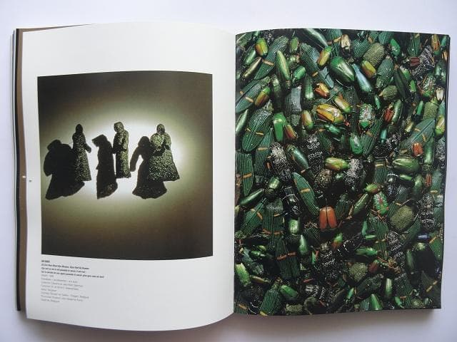 洋書◆アヴィニョン芸術展 作品写真集 本 フランス 工芸 デザイン 映像