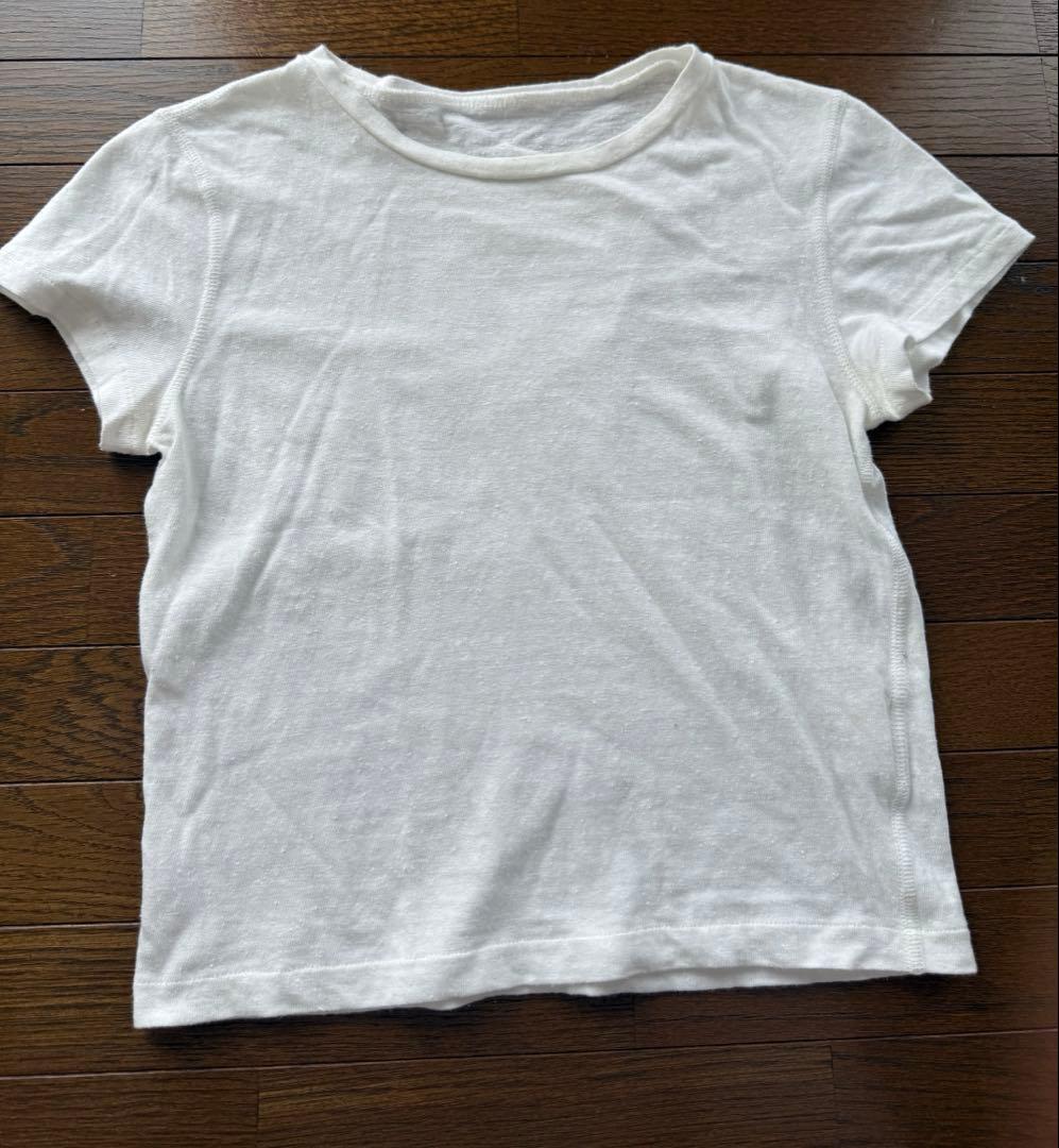 シシクイ　XST 白
