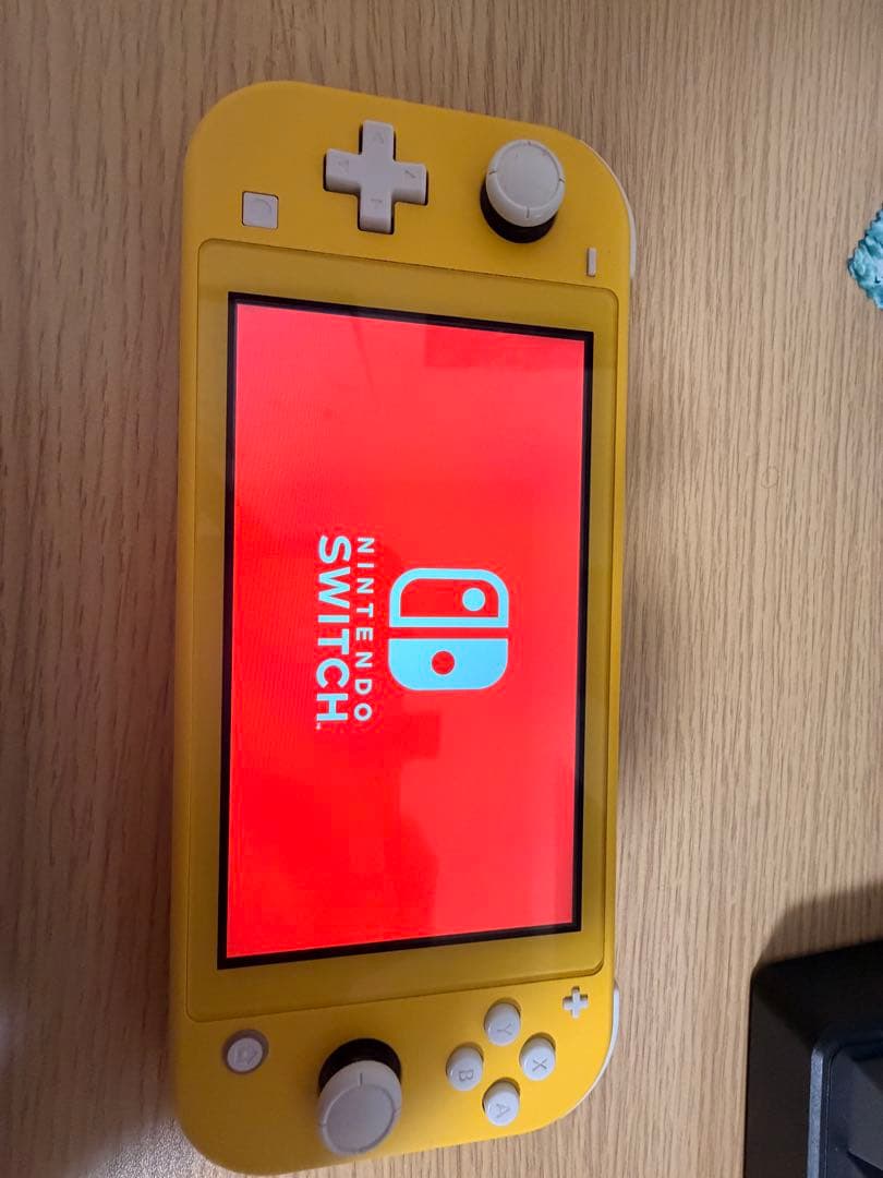 Nintendo Switch Lite microSD 64GB・ケース付き