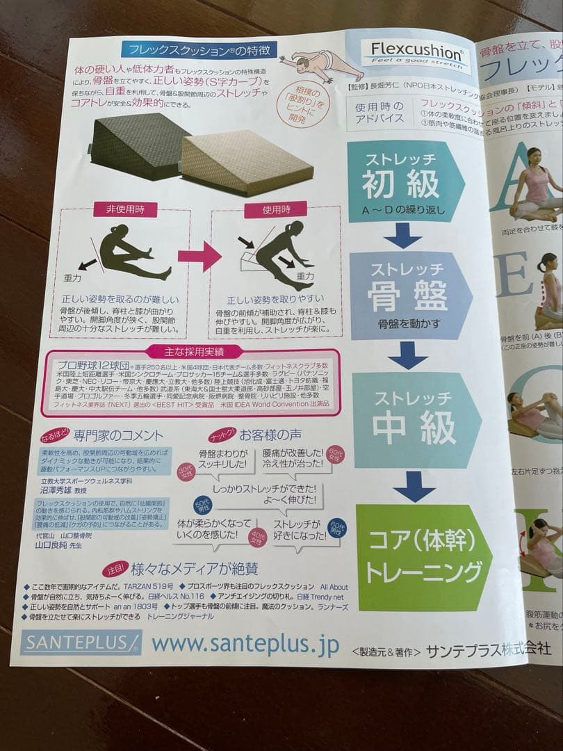 サンテプラス　フレックスクッション　ベージュ　美品