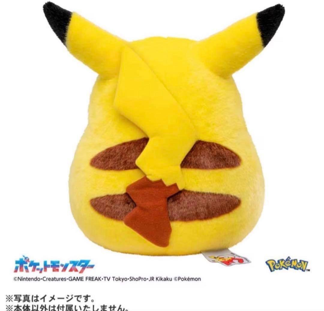 2個セット ポケットモンスター ポケモン30周年記念 おかえり！ピカチュウ