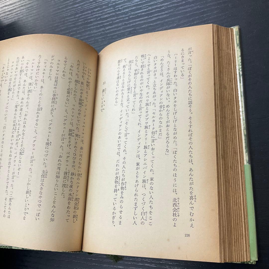 白いタカ　アーノルド　岩波少年文庫