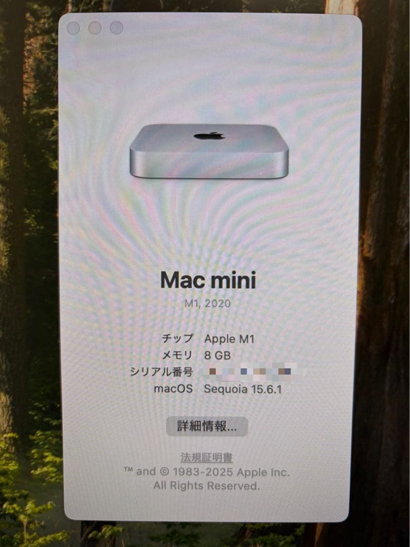 Apple Mac mini (M1, 2020) 本体