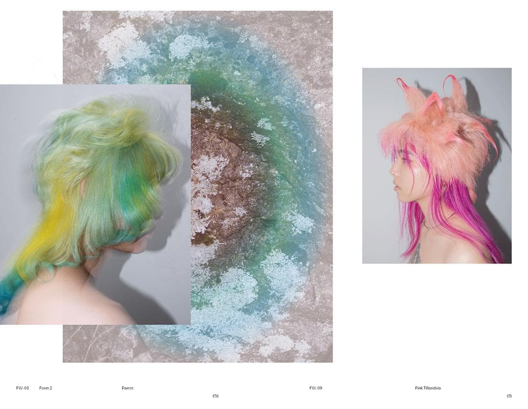 Tomihiro Kono: Fancy Creatures 河野富広