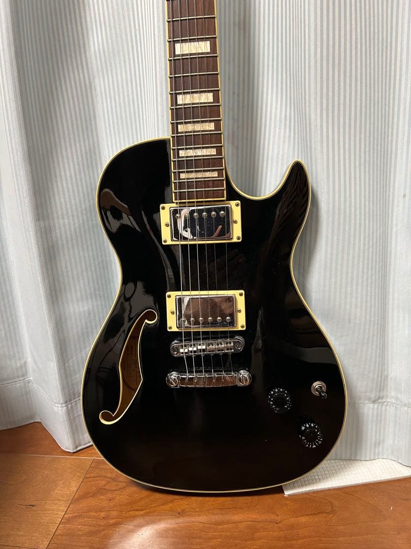 ぽぽぽ　Ibanez Artcore AXD-71