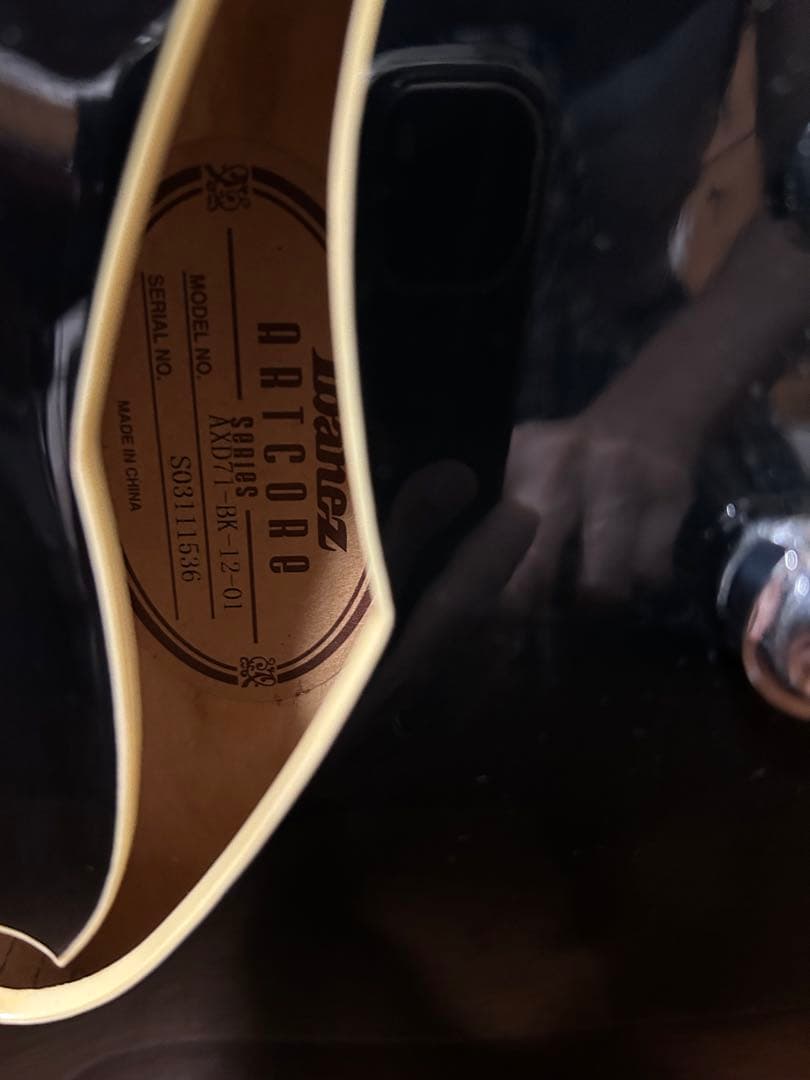 ぽぽぽ　Ibanez Artcore AXD-71