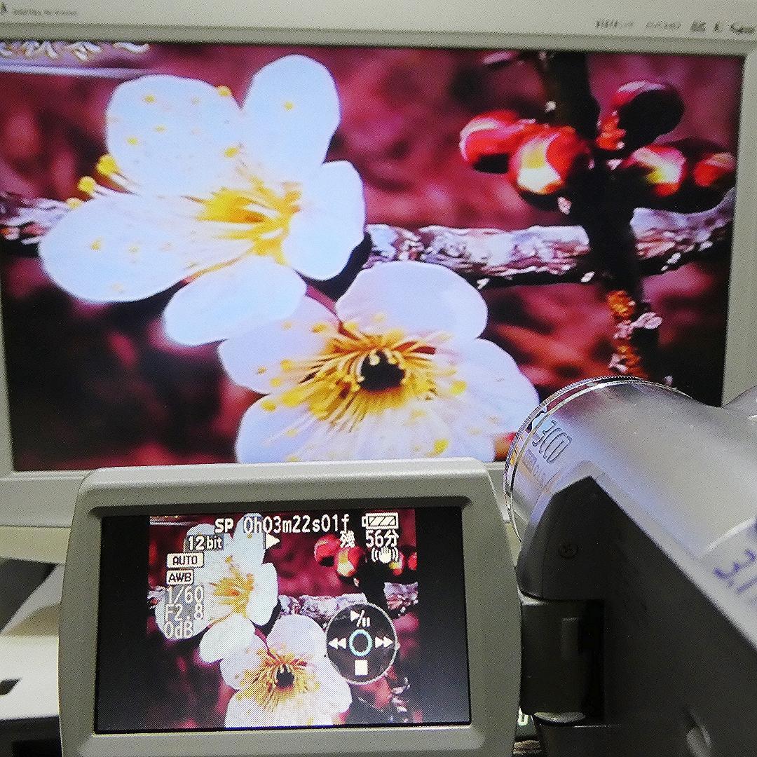 動作良好 パナソニック NV-GS300 MiniDVビデオカメラDVD化に最適