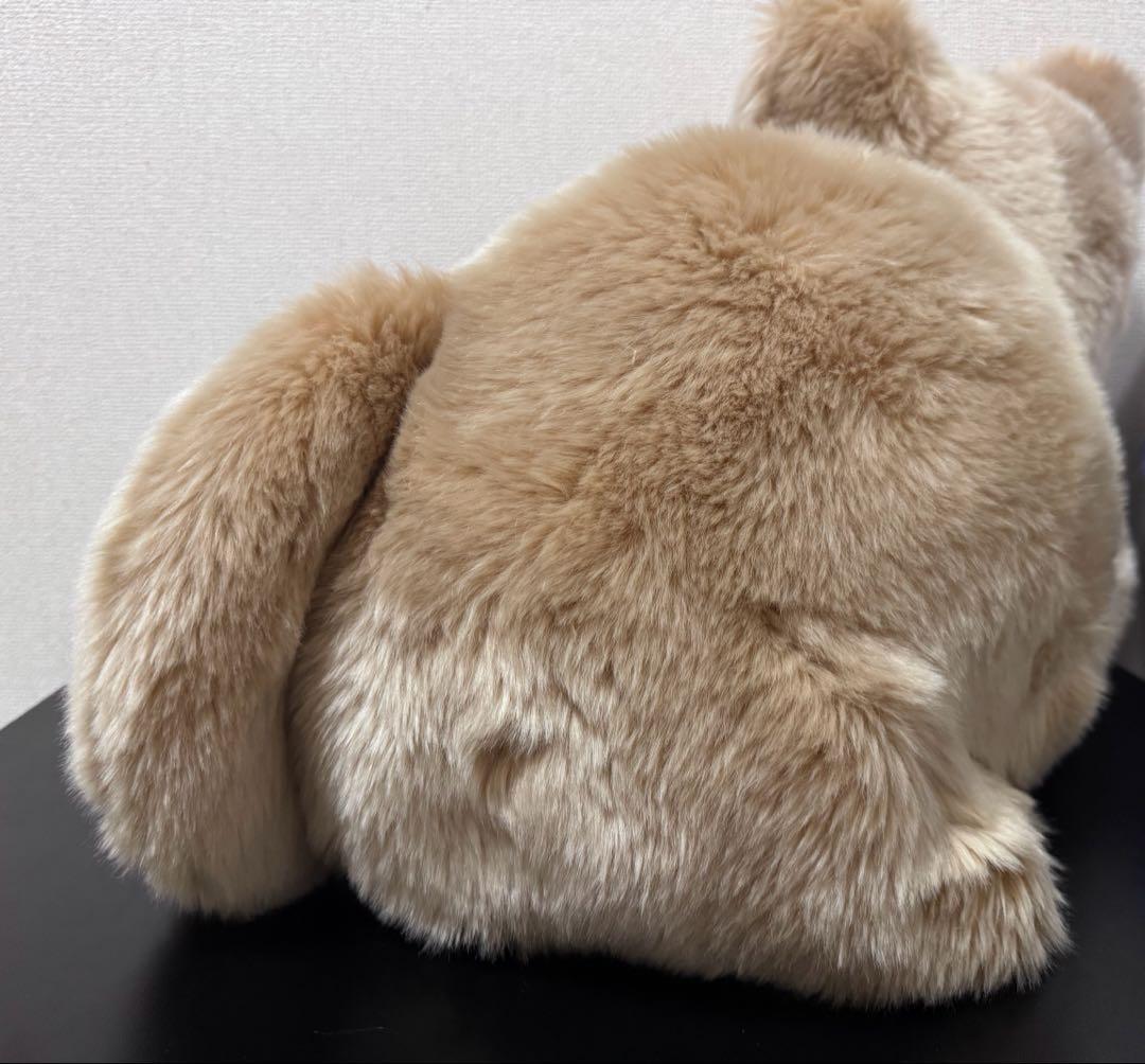 ニック！リイシューねこちゃん Grande Apricot Beige