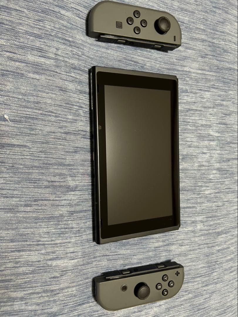 switch 本体　スイッチ グレー　 保護フィルム付き