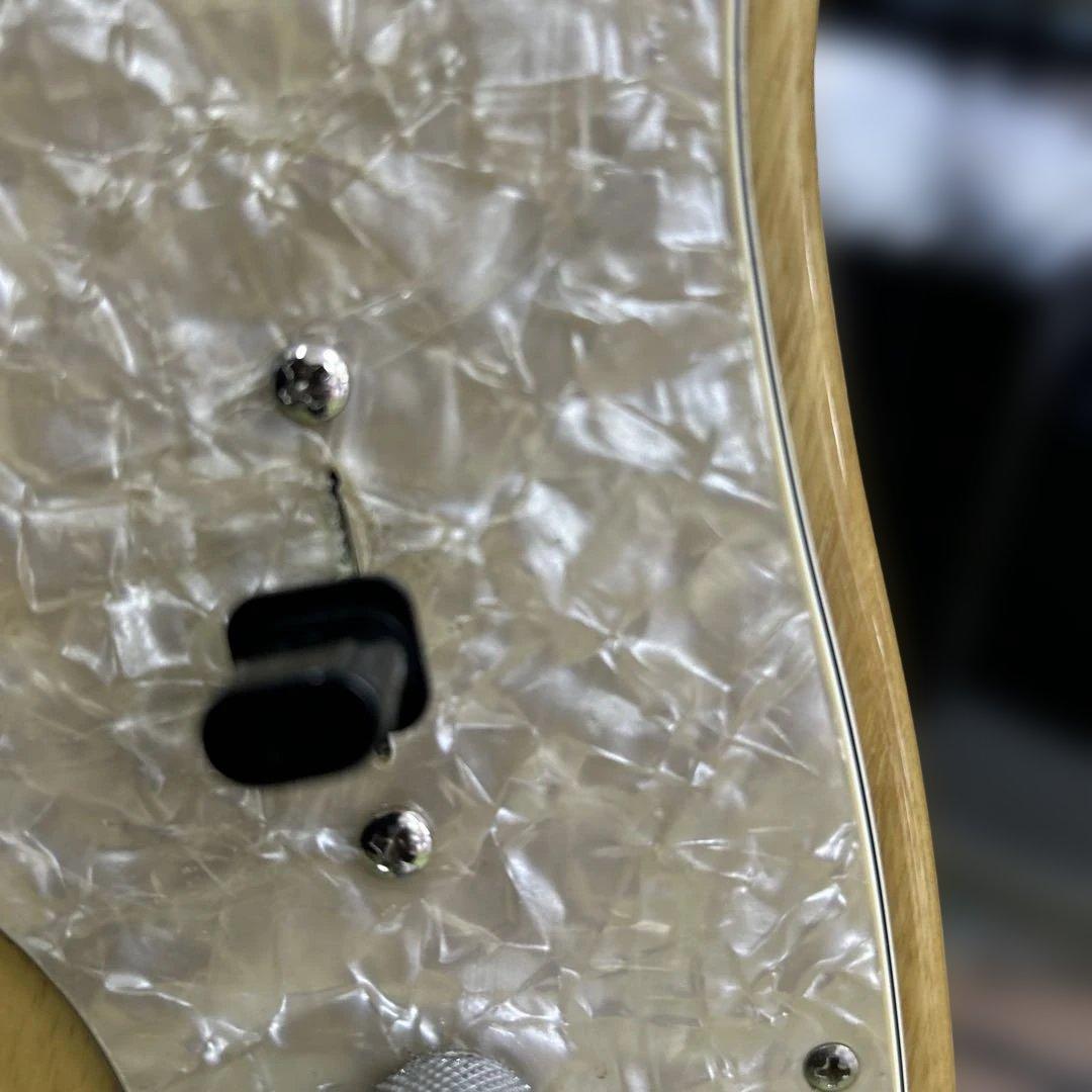 バイオレンス田中Fender Telecaster Thinline