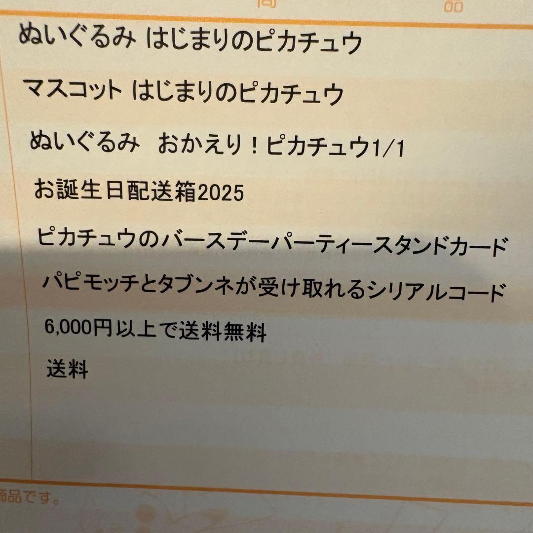 3点+おまけ ポケモン はじまりのピカチュウ＆おかえり！ピカチュウ ぬいぐるみ